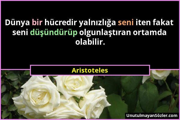 Aristoteles - Dünya bir hücredir yalnızlığa seni iten fakat seni düşündürüp olgunlaştıran ortamda olabilir....