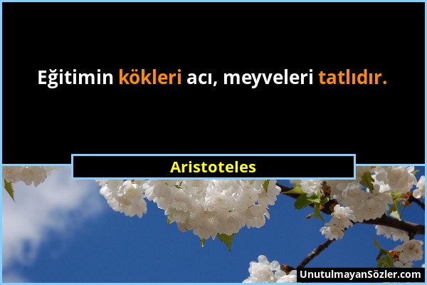 Aristoteles - Eğitimin kökleri acı, meyveleri tatlıdır....