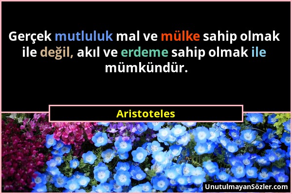 Aristoteles - Gerçek mutluluk mal ve mülke sahip olmak ile değil, akıl ve erdeme sahip olmak ile mümkündür....