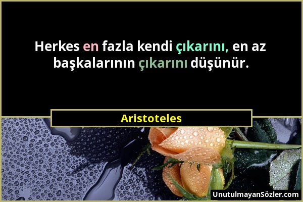 Aristoteles - Herkes en fazla kendi çıkarını, en az başkalarının çıkarını düşünür....