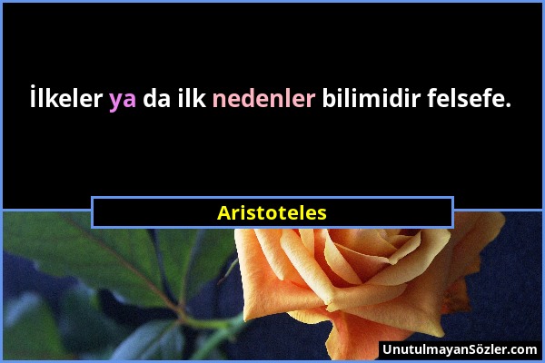 Aristoteles - İlkeler ya da ilk nedenler bilimidir felsefe....