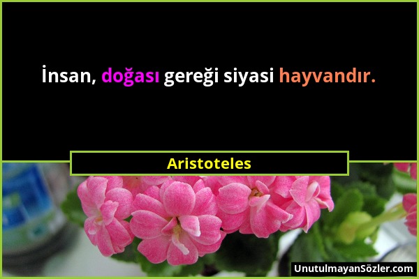 Aristoteles - İnsan, doğası gereği siyasi hayvandır....