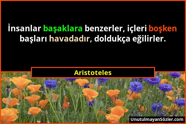 Aristoteles - İnsanlar başaklara benzerler, içleri boşken başları havadadır, doldukça eğilirler....