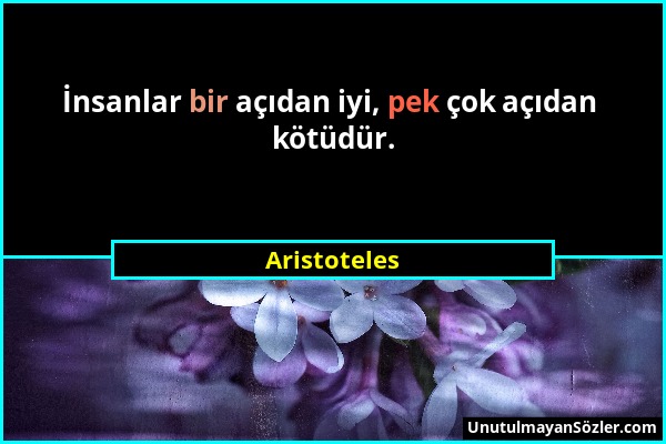 Aristoteles - İnsanlar bir açıdan iyi, pek çok açıdan kötüdür....