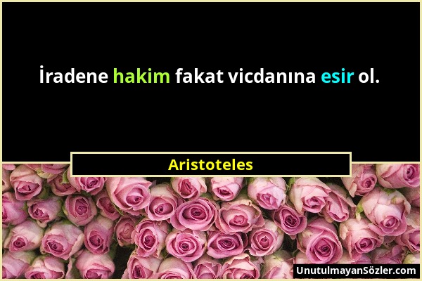 Aristoteles - İradene hakim fakat vicdanına esir ol....