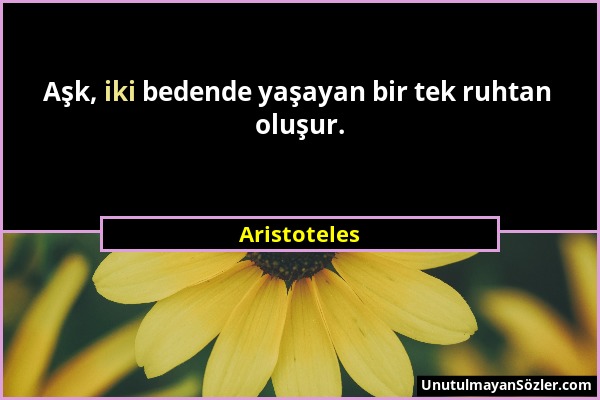 Aristoteles - Aşk, iki bedende yaşayan bir tek ruhtan oluşur....