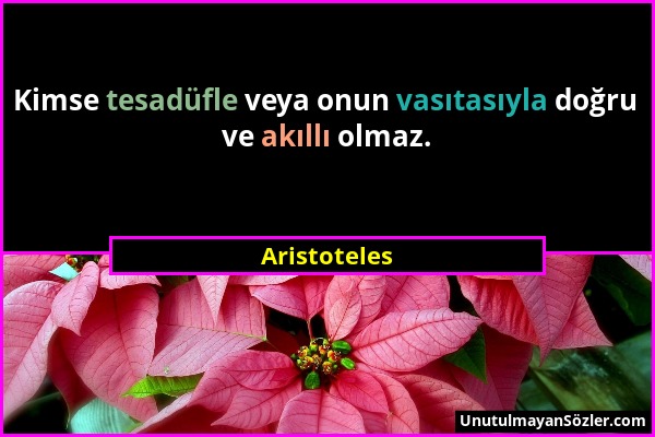 Aristoteles - Kimse tesadüfle veya onun vasıtasıyla doğru ve akıllı olmaz....