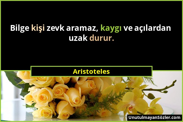 Aristoteles - Bilge kişi zevk aramaz, kaygı ve açılardan uzak durur....