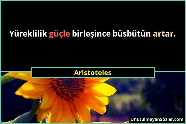Aristoteles - Yüreklilik güçle birleşince büsbütün artar....