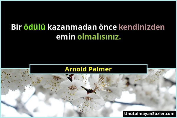 Arnold Palmer - Bir ödülü kazanmadan önce kendinizden emin olmalısınız....