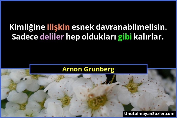 Arnon Grunberg - Kimliğine ilişkin esnek davranabilmelisin. Sadece deliler hep oldukları gibi kalırlar....