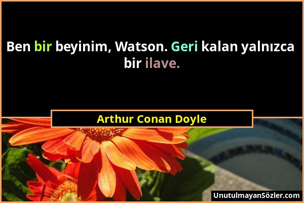 Arthur Conan Doyle - Ben bir beyinim, Watson. Geri kalan yalnızca bir ilave....