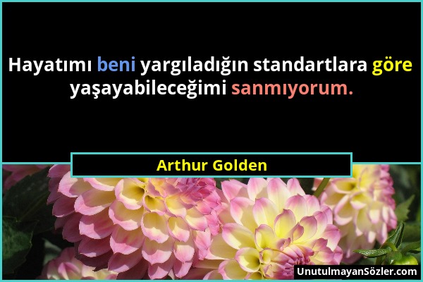 Arthur Golden - Hayatımı beni yargıladığın standartlara göre yaşayabileceğimi sanmıyorum....