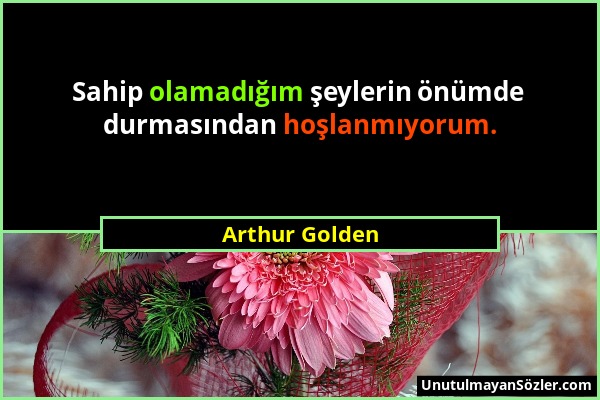 Arthur Golden - Sahip olamadığım şeylerin önümde durmasından hoşlanmıyorum....