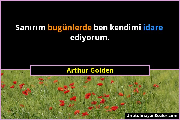 Arthur Golden - Sanırım bugünlerde ben kendimi idare ediyorum....