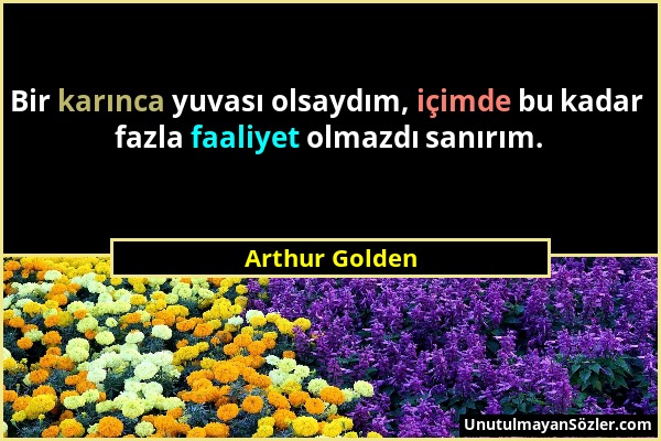 Arthur Golden - Bir karınca yuvası olsaydım, içimde bu kadar fazla faaliyet olmazdı sanırım....