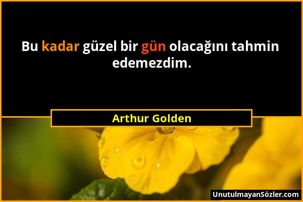 Arthur Golden - Bu kadar güzel bir gün olacağını tahmin edemezdim....