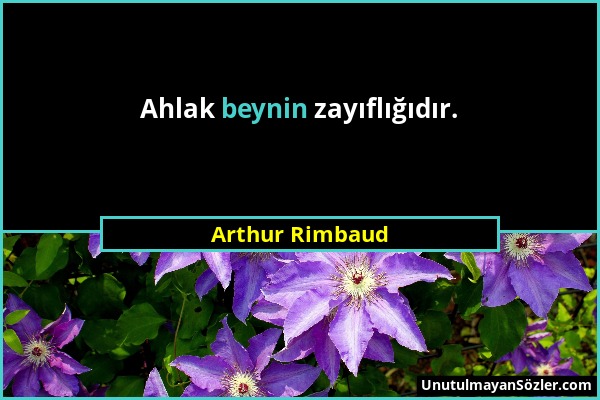 Arthur Rimbaud - Ahlak beynin zayıflığıdır....