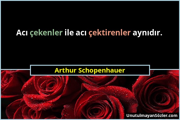 Arthur Schopenhauer - Acı çekenler ile acı çektirenler aynıdır....