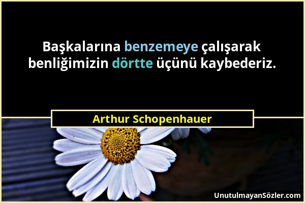 Arthur Schopenhauer - Başkalarına benzemeye çalışarak benliğimizin dörtte üçünü kaybederiz....