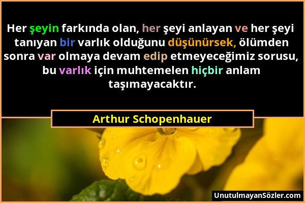 Arthur Schopenhauer - Her şeyin farkında olan, her şeyi anlayan ve her şeyi tanıyan bir varlık olduğunu düşünürsek, ölümden sonra var olmaya devam edi...