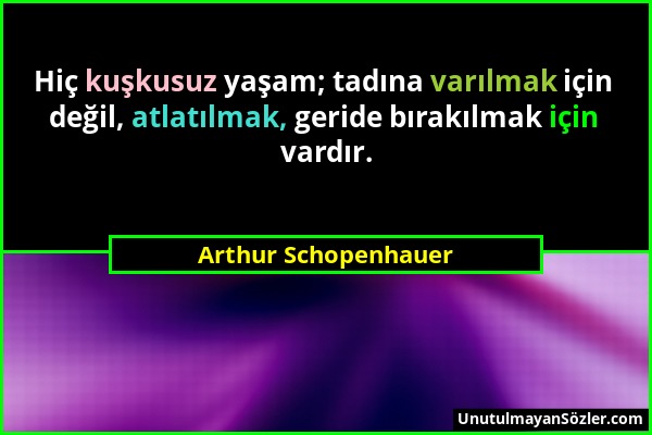 Arthur Schopenhauer - Hiç kuşkusuz yaşam; tadına varılmak için değil, atlatılmak, geride bırakılmak için vardır....