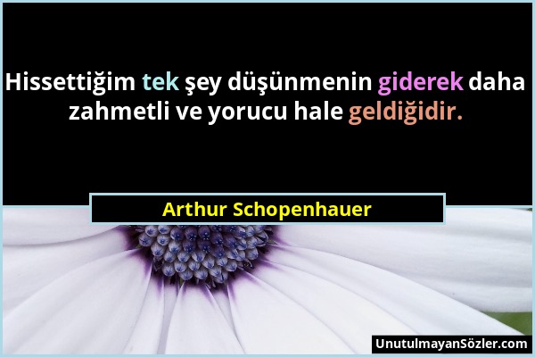 Arthur Schopenhauer - Hissettiğim tek şey düşünmenin giderek daha zahmetli ve yorucu hale geldiğidir....