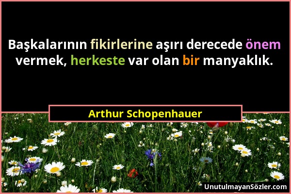 Arthur Schopenhauer - Başkalarının fikirlerine aşırı derecede önem vermek, herkeste var olan bir manyaklık....