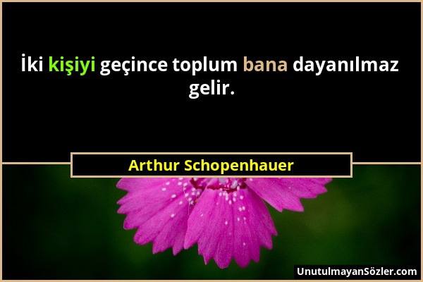 Arthur Schopenhauer - İki kişiyi geçince toplum bana dayanılmaz gelir....