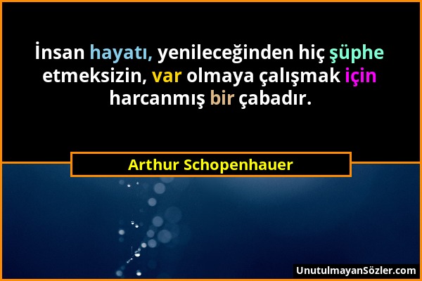 Arthur Schopenhauer - İnsan hayatı, yenileceğinden hiç şüphe etmeksizin, var olmaya çalışmak için harcanmış bir çabadır....