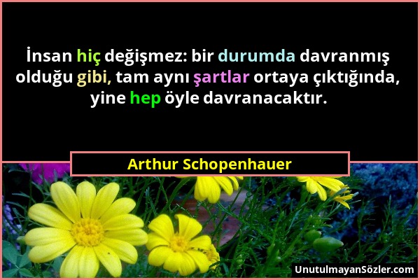 Arthur Schopenhauer - İnsan hiç değişmez: bir durumda davranmış olduğu gibi, tam aynı şartlar ortaya çıktığında, yine hep öyle davranacaktır....