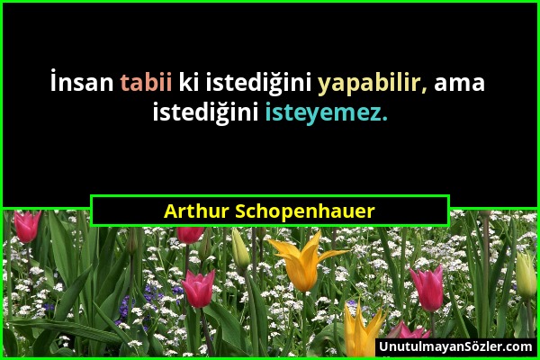 Arthur Schopenhauer - İnsan tabii ki istediğini yapabilir, ama istediğini isteyemez....