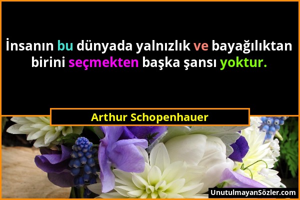 Arthur Schopenhauer - İnsanın bu dünyada yalnızlık ve bayağılıktan birini seçmekten başka şansı yoktur....