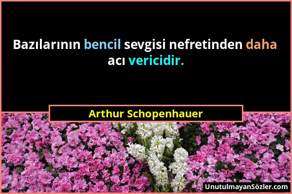 Arthur Schopenhauer - Bazılarının bencil sevgisi nefretinden daha acı vericidir....