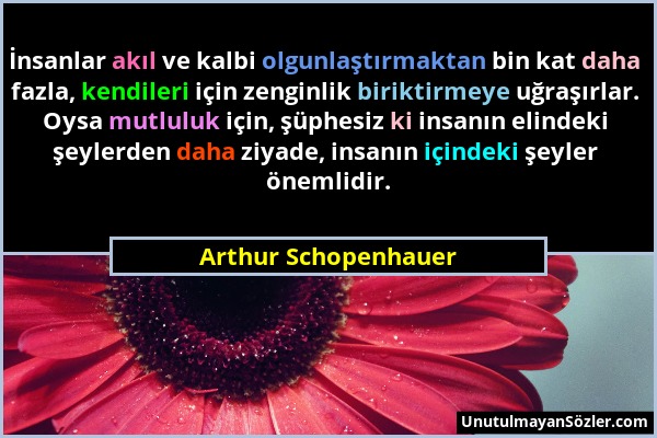 Arthur Schopenhauer - İnsanlar akıl ve kalbi olgunlaştırmaktan bin kat daha fazla, kendileri için zenginlik biriktirmeye uğraşırlar. Oysa mutluluk içi...