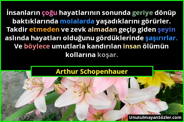 Arthur Schopenhauer - İnsanların çoğu hayatlarının sonunda geriye dönüp baktıklarında molalarda yaşadıklarını görürler. Takdir etmeden ve zevk almadan...