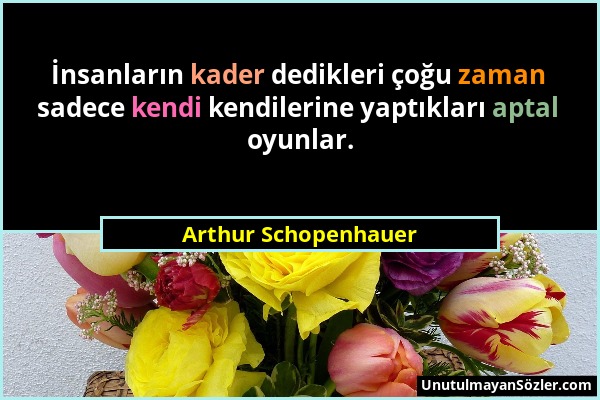 Arthur Schopenhauer - İnsanların kader dedikleri çoğu zaman sadece kendi kendilerine yaptıkları aptal oyunlar....