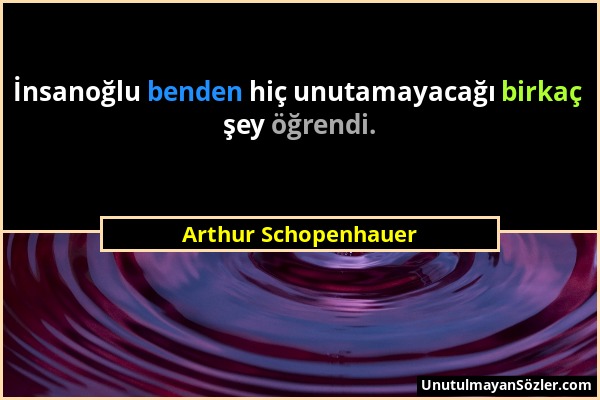 Arthur Schopenhauer - İnsanoğlu benden hiç unutamayacağı birkaç şey öğrendi....
