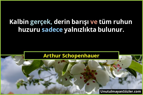 Arthur Schopenhauer - Kalbin gerçek, derin barışı ve tüm ruhun huzuru sadece yalnızlıkta bulunur....