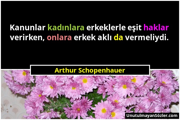 Arthur Schopenhauer - Kanunlar kadınlara erkeklerle eşit haklar verirken, onlara erkek aklı da vermeliydi....