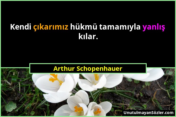 Arthur Schopenhauer - Kendi çıkarımız hükmü tamamıyla yanlış kılar....