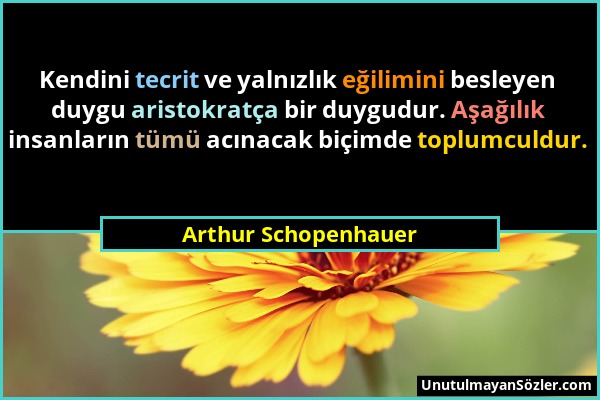 Arthur Schopenhauer - Kendini tecrit ve yalnızlık eğilimini besleyen duygu aristokratça bir duygudur. Aşağılık insanların tümü acınacak biçimde toplum...
