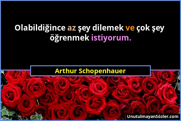 Arthur Schopenhauer - Olabildiğince az şey dilemek ve çok şey öğrenmek istiyorum....