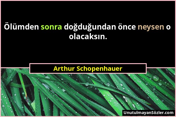 Arthur Schopenhauer - Ölümden sonra doğduğundan önce neysen o olacaksın....