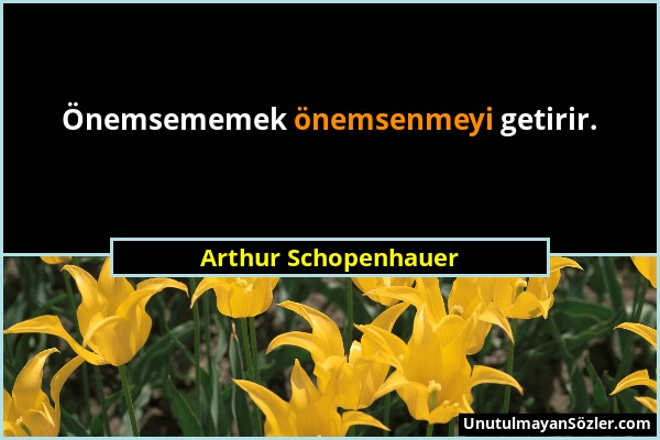 Arthur Schopenhauer - Önemsememek önemsenmeyi getirir....