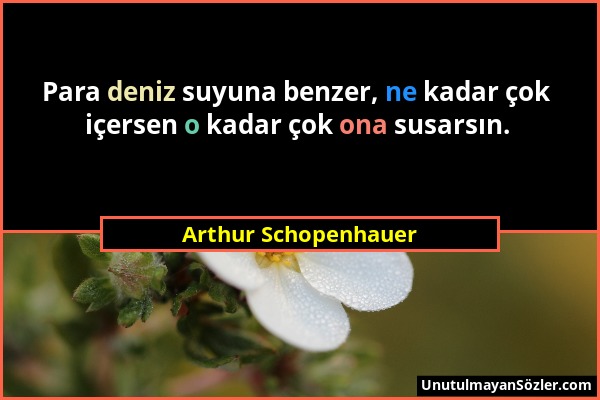 Arthur Schopenhauer - Para deniz suyuna benzer, ne kadar çok içersen o kadar çok ona susarsın....