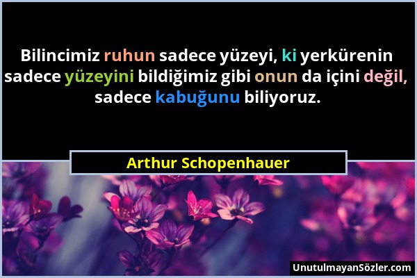 Arthur Schopenhauer - Bilincimiz ruhun sadece yüzeyi, ki yerkürenin sadece yüzeyini bildiğimiz gibi onun da içini değil, sadece kabuğunu biliyoruz....