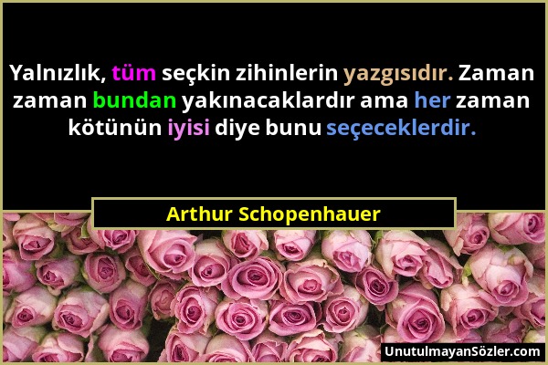 Arthur Schopenhauer - Yalnızlık, tüm seçkin zihinlerin yazgısıdır. Zaman zaman bundan yakınacaklardır ama her zaman kötünün iyisi diye bunu seçecekler...