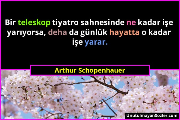Arthur Schopenhauer - Bir teleskop tiyatro sahnesinde ne kadar işe yarıyorsa, deha da günlük hayatta o kadar işe yarar....