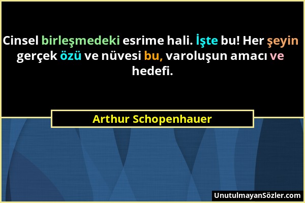 Arthur Schopenhauer - Cinsel birleşmedeki esrime hali. İşte bu! Her şeyin gerçek özü ve nüvesi bu, varoluşun amacı ve hedefi....